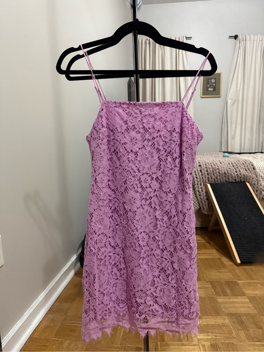 Francesca's Collections Lavender Lace Mini Dress